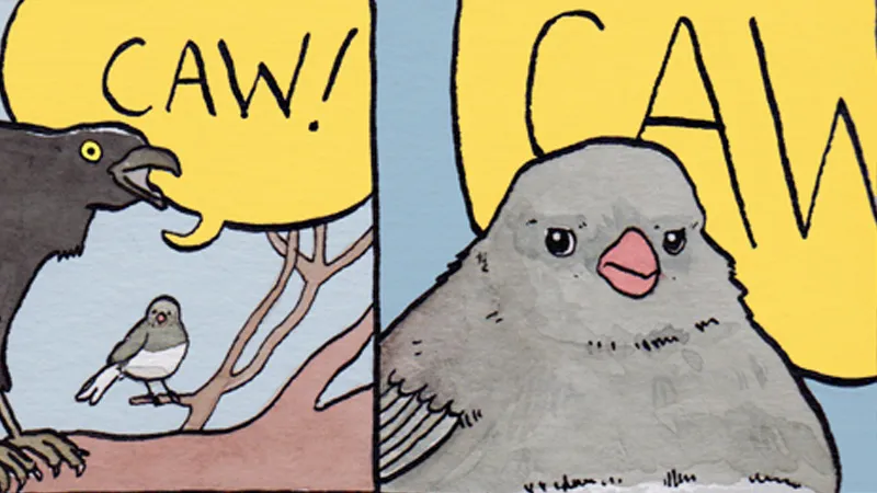 Bird meme