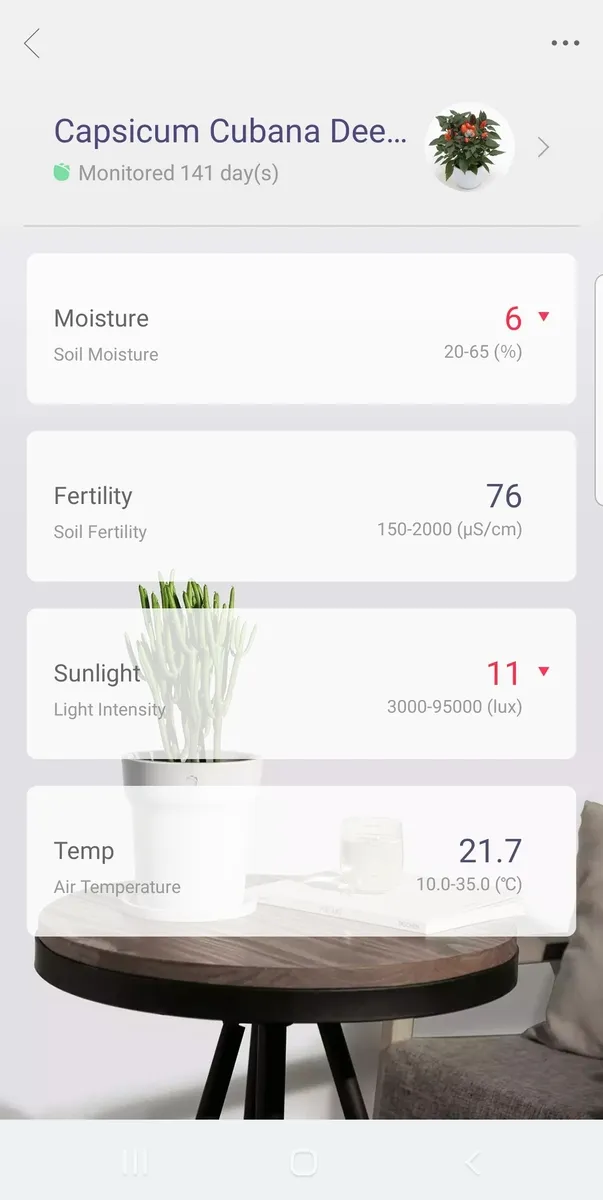 MiFlora gallery
