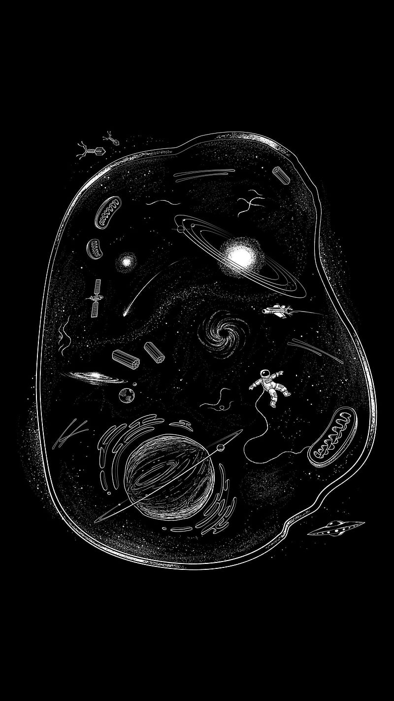 Is DNA a 3.85 billion year old life-encoding data structure from space?