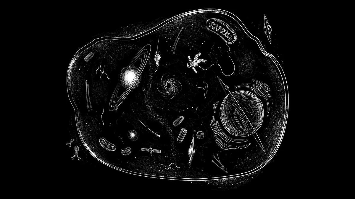 Is DNA a 3.85 billion year old life-encoding data structure from space?