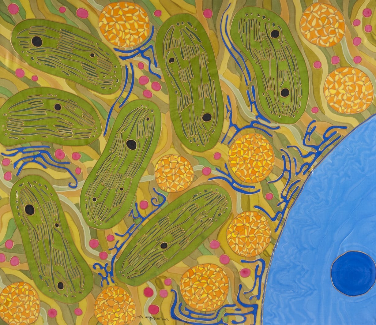 Symbiogenesis – the hidden model of evolution