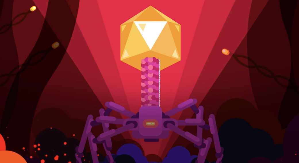 Bacteriophage - Morphology, Life Cycle, Genetics and The Phageome (2/2)