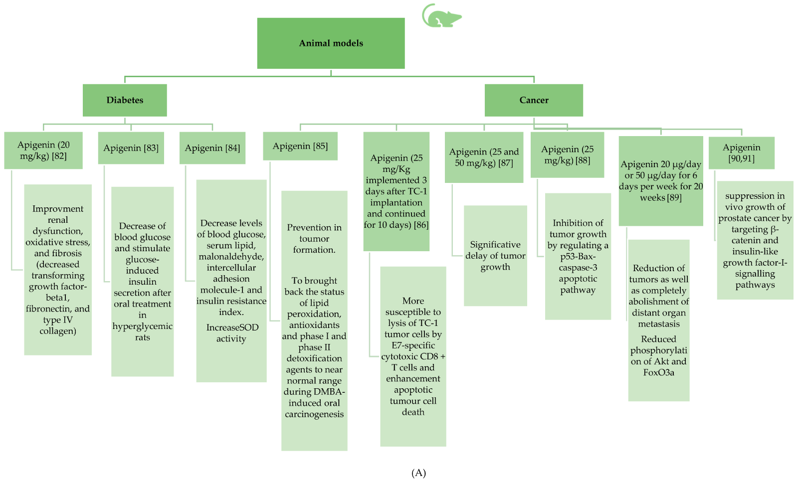 Effects pathways