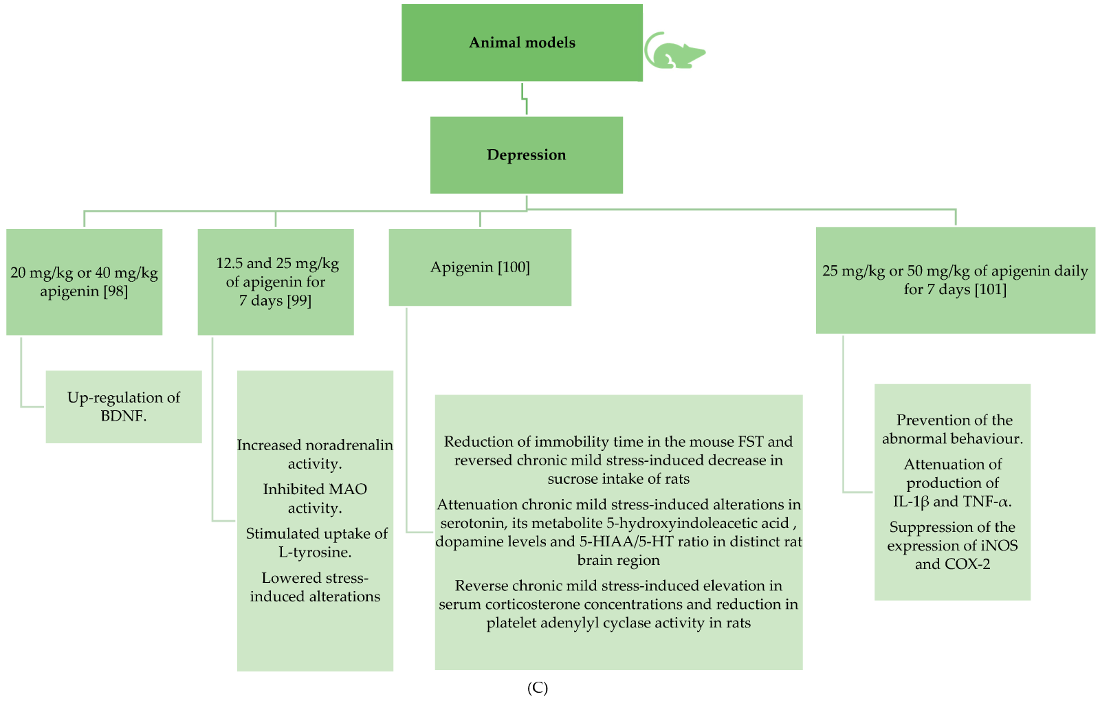 Effects pathways